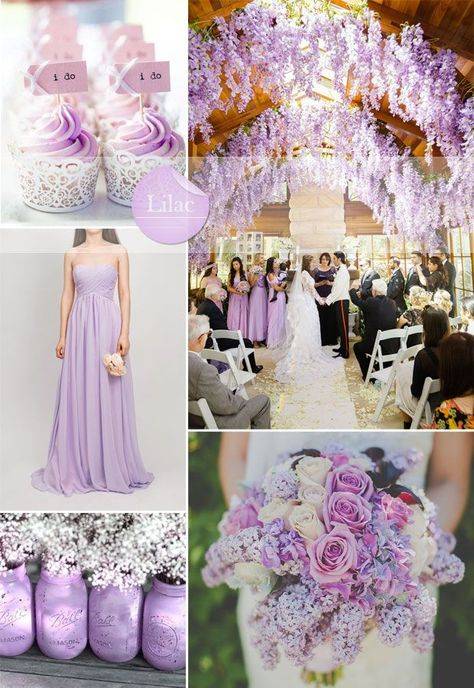 ᐉ оформление свадьбы в розово бело лиловых цветах. фиолетовая свадьба: самый красивый цвет для самого главного праздника - svadba-dv.ru
