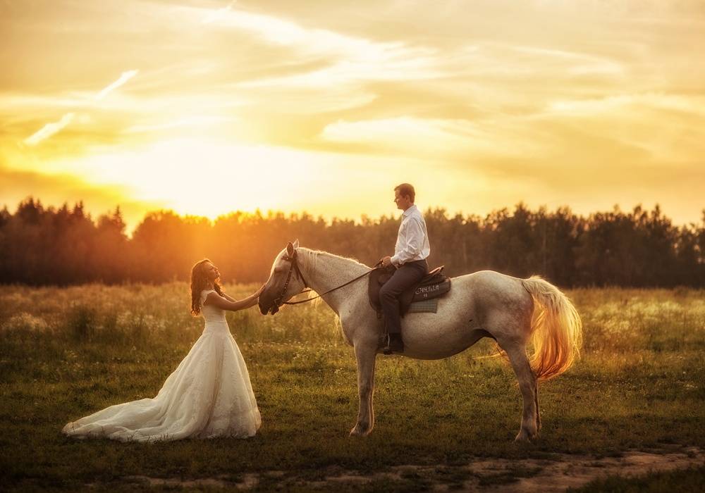 Романтическая свадебная фотосессия с лошадьми, собаками