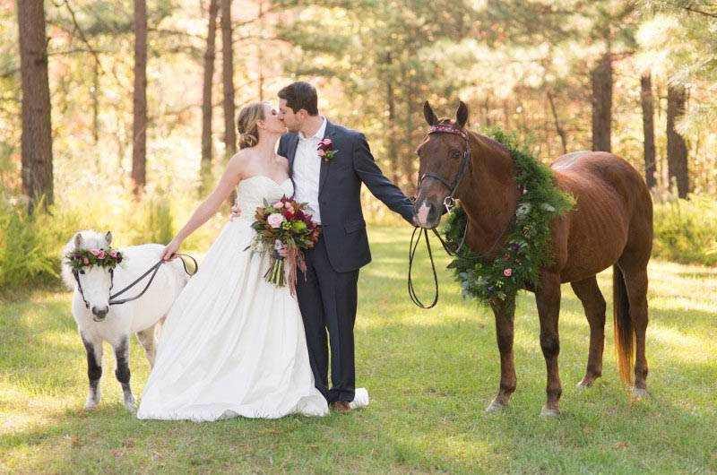 ᐉ романтическая свадебная фотосессия с лошадьми, собаками - svadebniy-mir.su