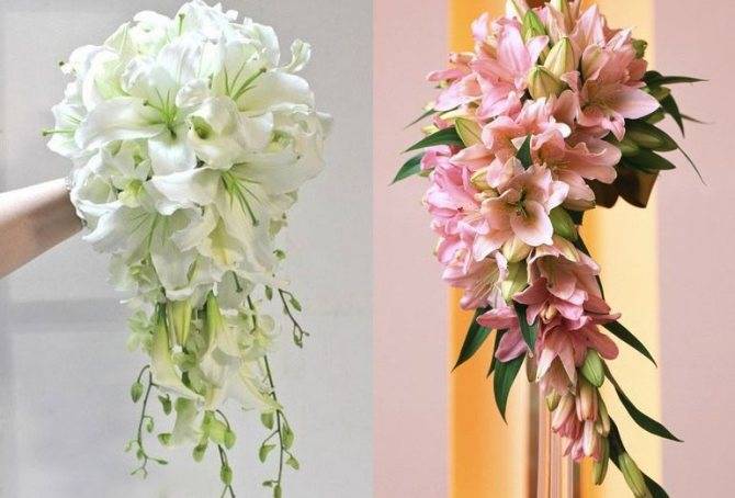 Свадебный букет из орхидей - фото идеи, мастер-класс