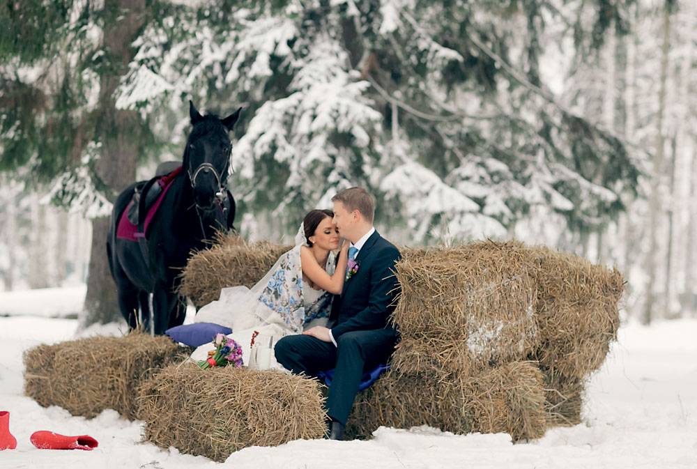 ᐉ романтическая свадебная фотосессия с лошадьми, собаками - svadebniy-mir.su