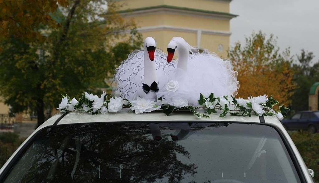 Свадебные лебеди - как и из чего лучше сделать лебедей на свадьбу своими руками: из модульного оригами, конфет, шаров или цветов?