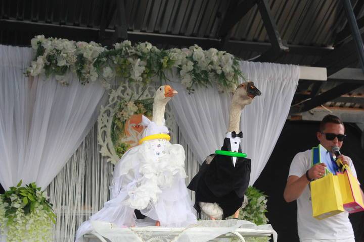 Приготовил гуся – женись: забавный ирландский обычай, который неминуемо ведет к свадьбе