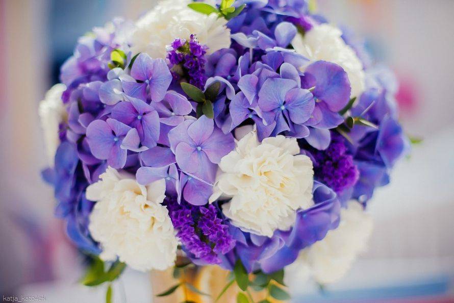 Свадебный букет из пионов и гортензий: как сочетать цветы с нарядом