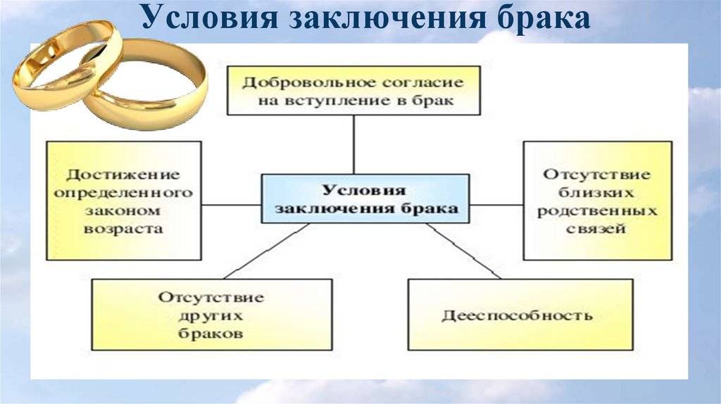 Семейное право общество 10 класс презентация