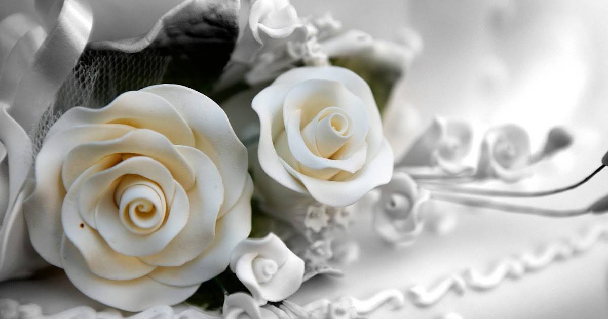 Открытки с днем свадьбы: топ-150 фото лучших новинок. самые красивые варианты дизайна открытки на свадьбу для молодоженов