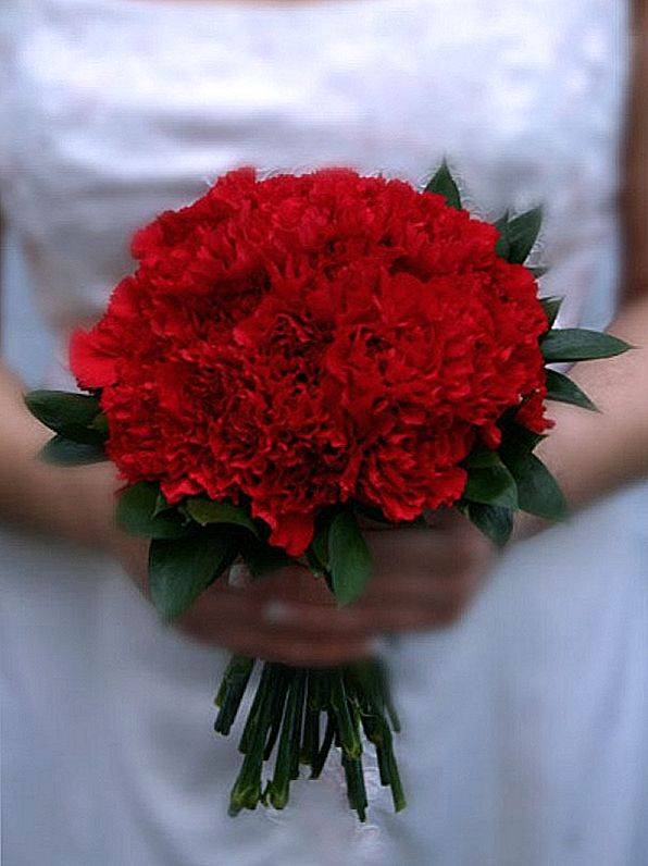 Свадебный букет из гвоздик ? в [2019] своими руками с белыми розами – фото