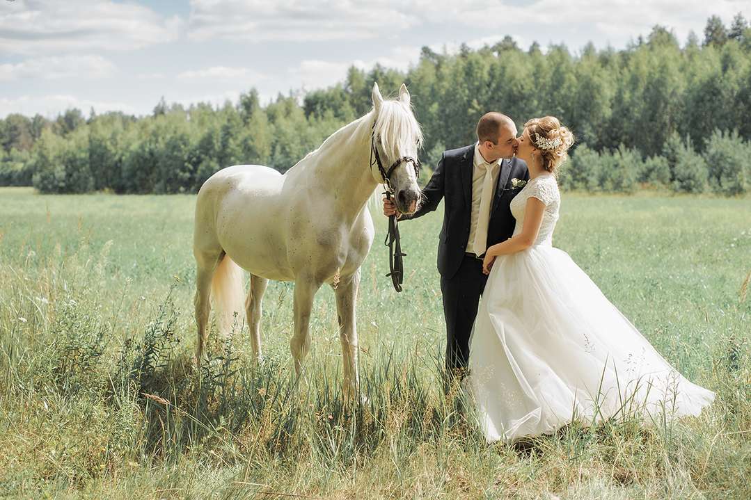 Свадебная фотосессия с лошадьми – идеи красивых снимков