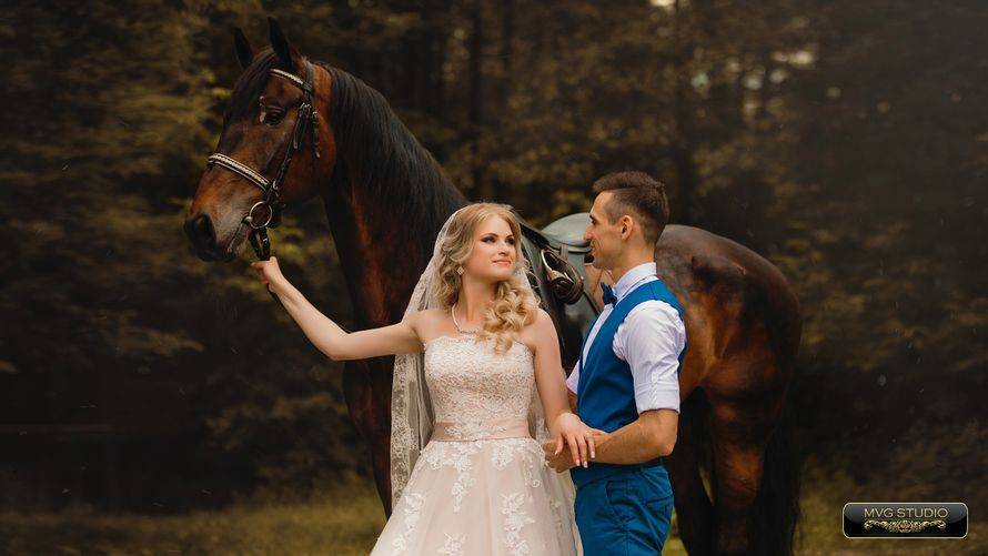 Как сделать красивые свадебные фото с лошадьми и собаками – идеи для фотосессии