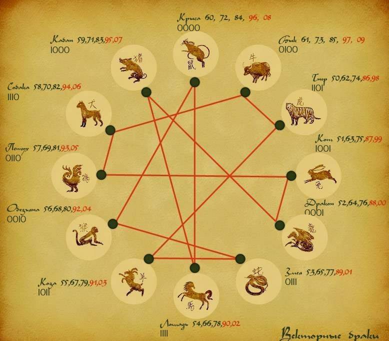 Векторный брак по знакам зодиака: понятие, астрология любви, отношения и совместимость