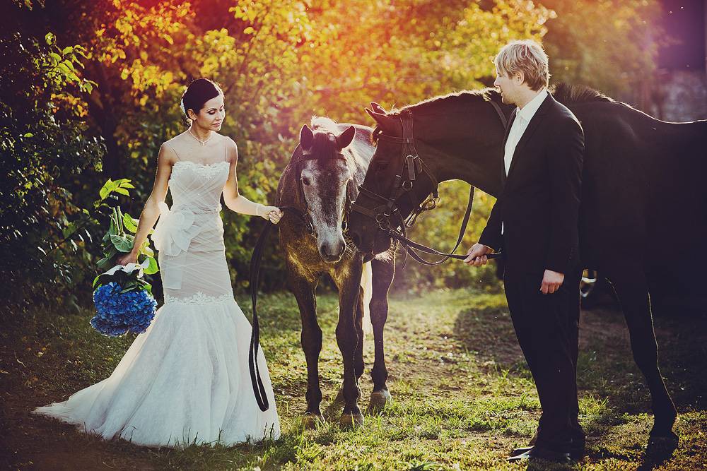 ᐉ как сделать красивые свадебные фото с лошадьми и собаками - ➡ danilov-studio.ru