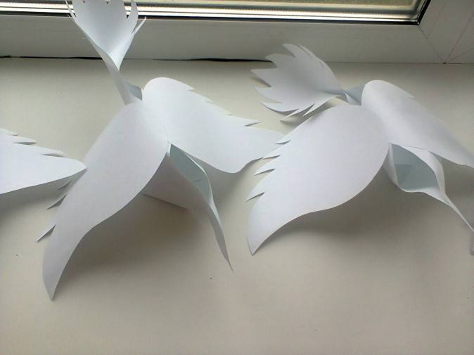 Как сделать голубя из бумаги: советы по складыванию оригами, бумажный голубь своими руками по шаблону