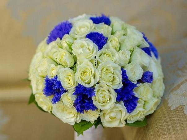 Свадьба в красно синем цвете