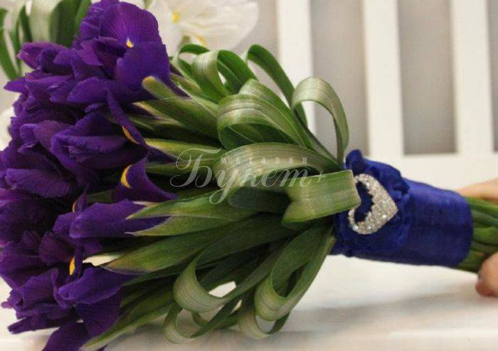 Букет невесты из ирисов: фото и идеи идеальных сочетаний – монобукеты и композиции с розами, тюльпанами, хризантемами