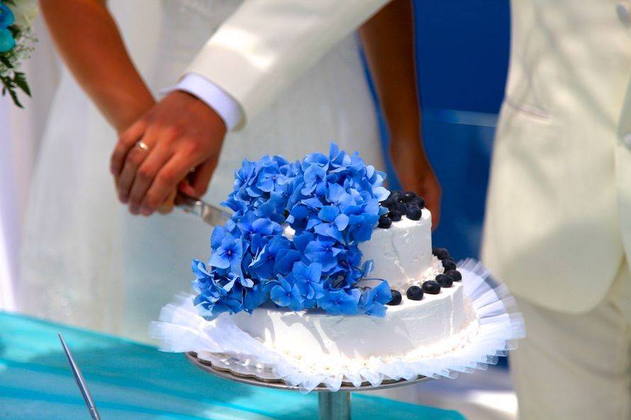 Свадьба в голубом цвете: идеи оформления свадьбы голубом цвете