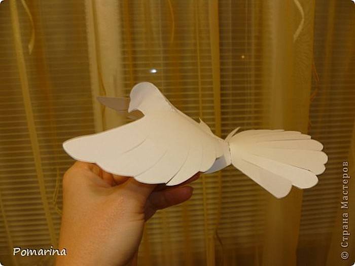 Как сделать бумажного голубя своими руками, птица из бумаги