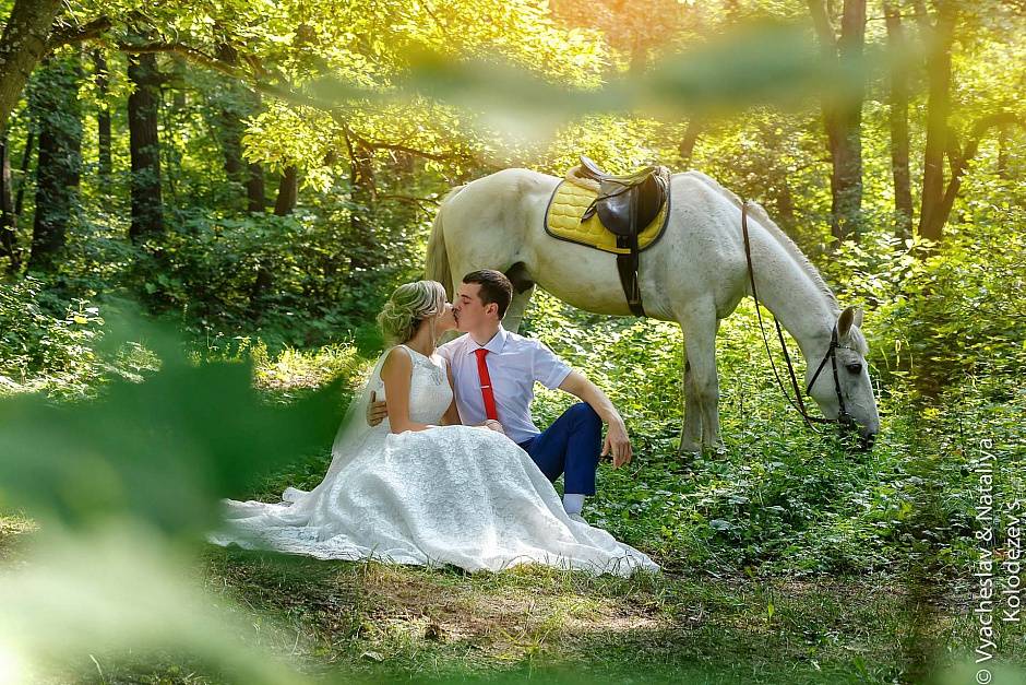 Как сделать красивые свадебные фото с лошадьми и собаками – идеи для фотосессии