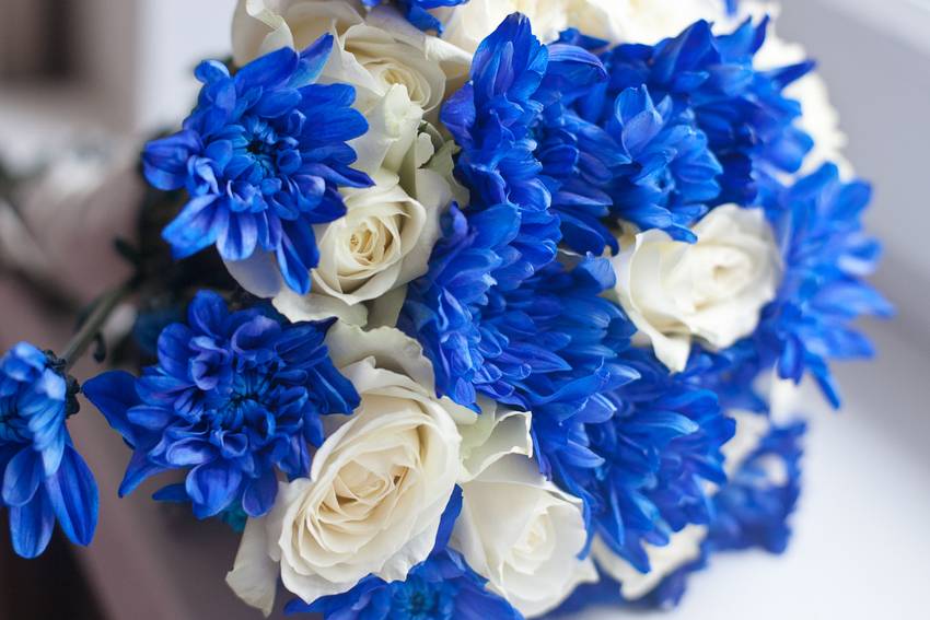 Букет невесты из белых роз на свадьбу: варианты сочетаний с фото с розовыми розами, пионами, фрезиями, советы по выбору