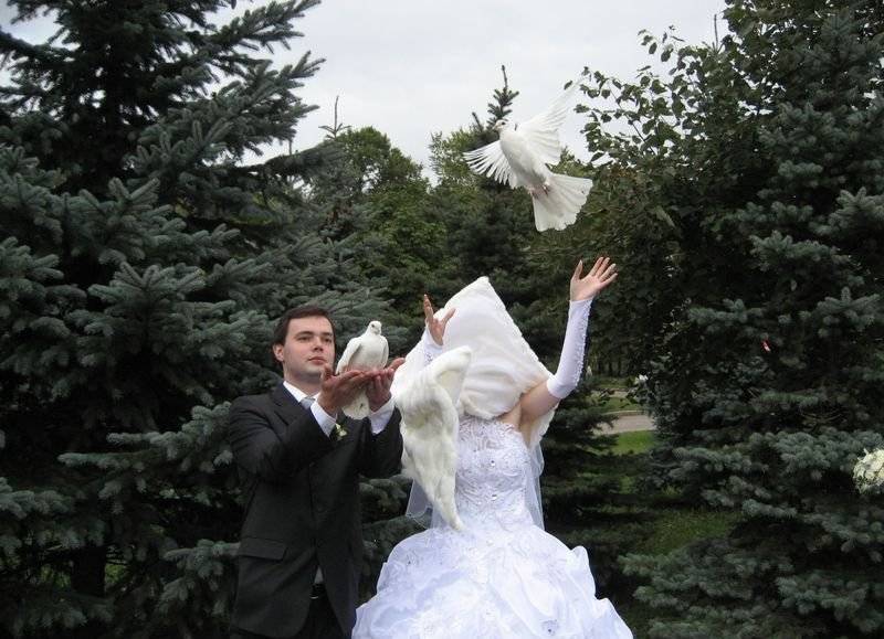 Свадебные фото-курьезы