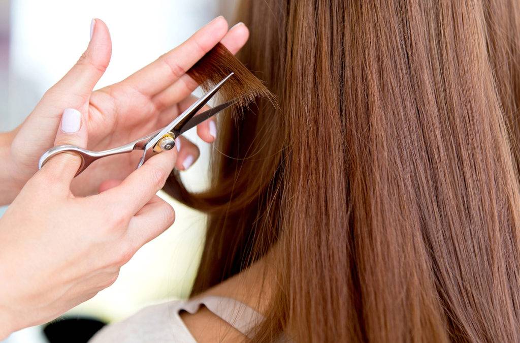 Что такое грибок волос и как лучше от него избавиться