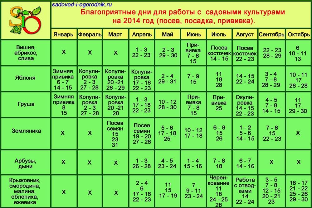 Какие дни для пересадки в марте