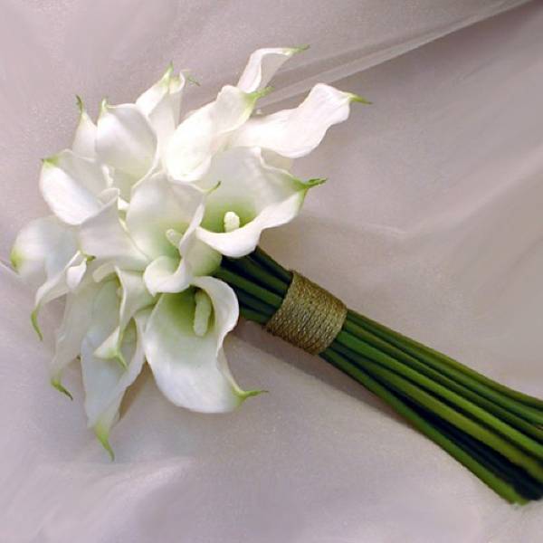 Букет невесты из калл [2019] – белые цветы на свадебных ? фото & советы флористов