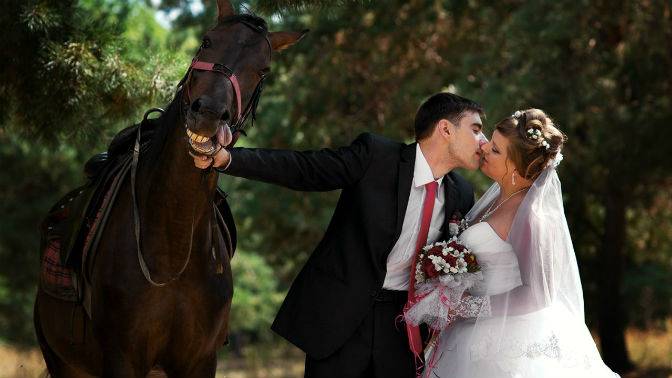 Как фотографировать и снимать свадьбу – советы начинающим
