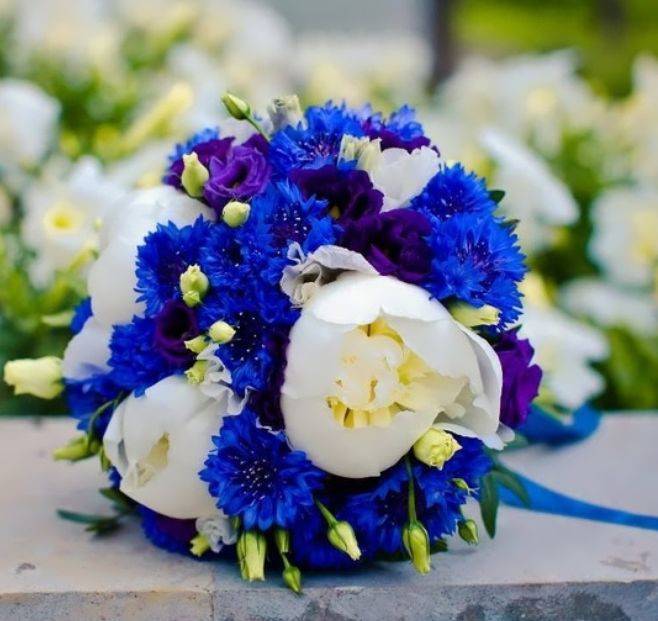 Свадебный букет невесты из ромашек – интересные сочетания с другими цветами