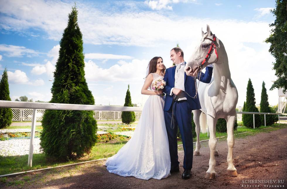 ᐉ свадебная фотосессия с лошадьми, собаками - фото и видео пример - svadebniy-mir.su