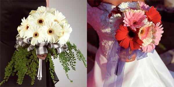Свадебный букет из гвоздик: с какими цветами сочетать гвоздики