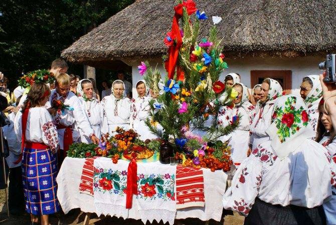 Какие традиции украинской свадьбы необходимо соблюдать