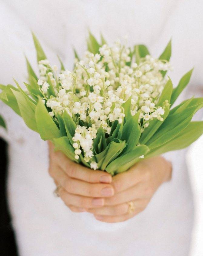 Какие цветы дарят на свадьбу, а какие цветы для молодоженов дарить не принято