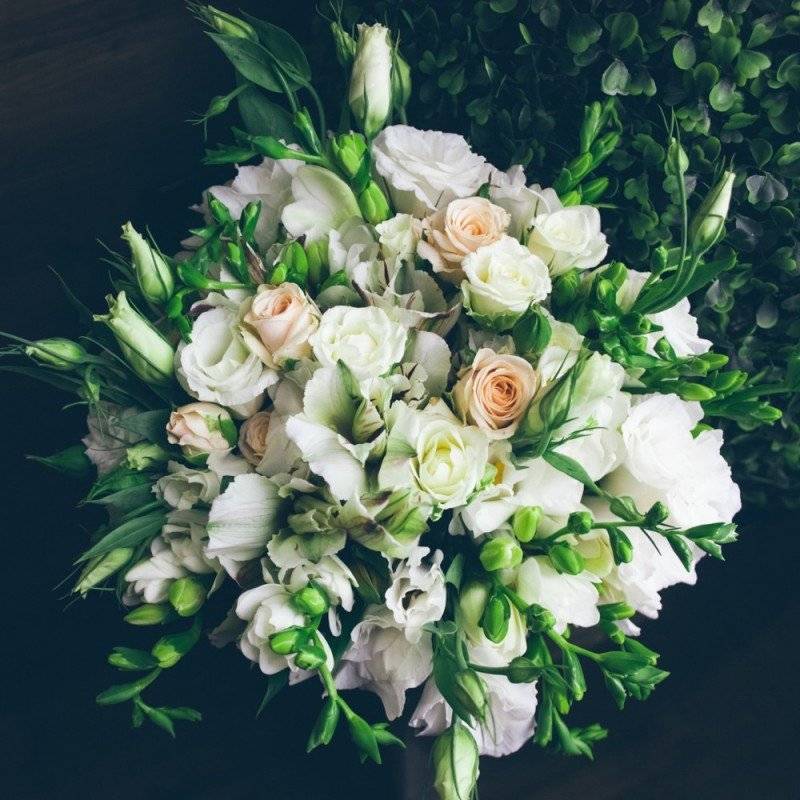 Свадебный букет из фрезий ? в [2019] – с белыми каллами & кустовыми розами, а также фото