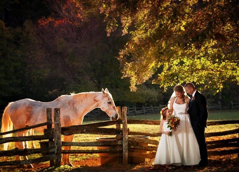 Позы для свадебной фотосессии пары - красивые, трогательные