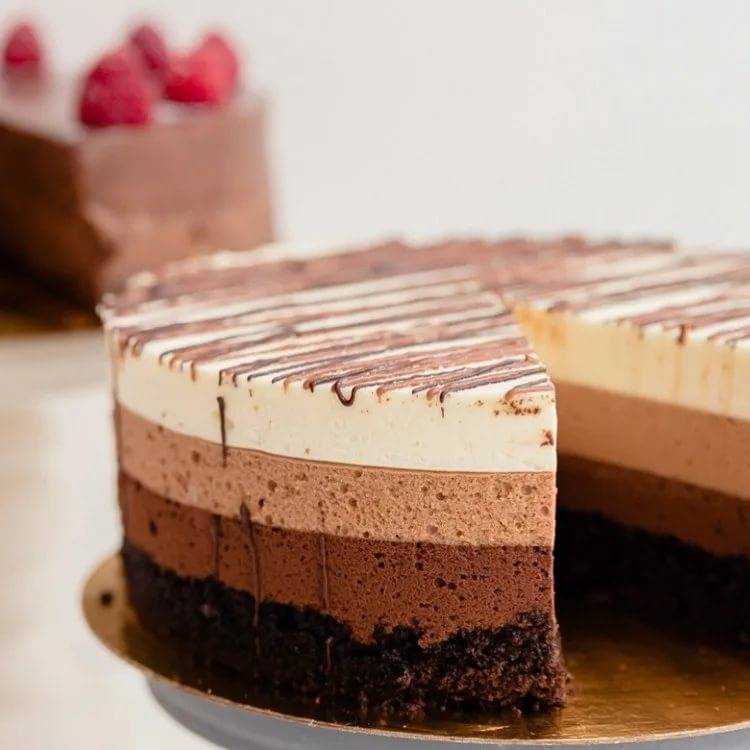 Шоколадно-муссовый торт: рецепт без выпечки, с вишней, с клубникой и др.