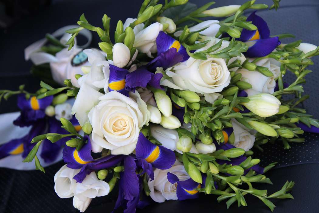 Букет невесты из ирисов: фото и идеи идеальных сочетаний – монобукеты и композиции с розами, тюльпанами, хризантемами