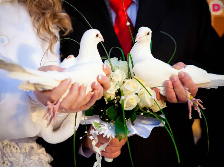 ᐉ "что значат свадебные мишки на свадебной машине?[